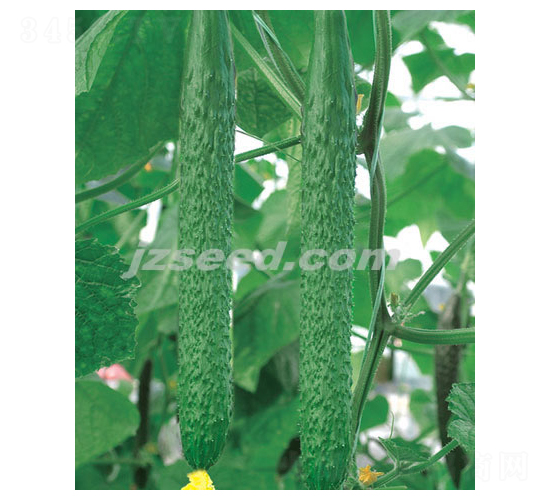 �n�д��G-�S�ϷN��-�F(xi��n)���N�I(y��)