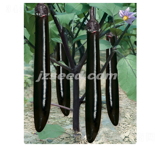 �f������-���ӷN��-�F���N�I(y��)