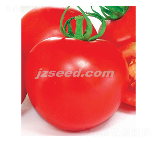 �ă�(y��u)�t��-���ѷN��-�F(xi��n)���N�I(y��)