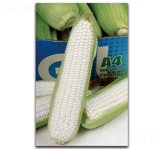 �A����Ŵ190-Ŵ���׷N��-�A���N�I(y��)