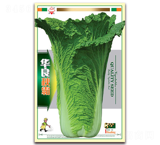 華良秋霸-大白菜種子-華良種業(yè)