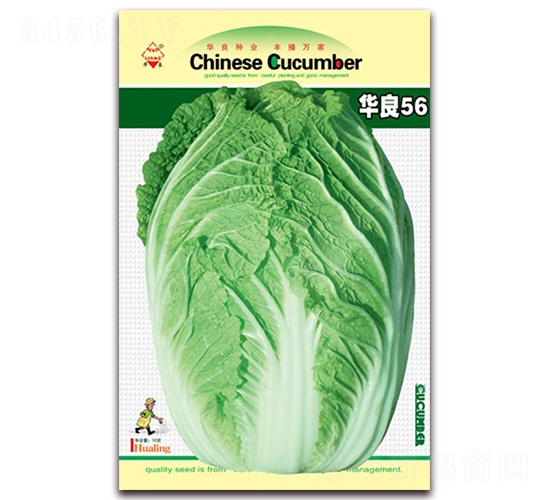 �A��56-��ײ˷N��-�A���N�I(y��)