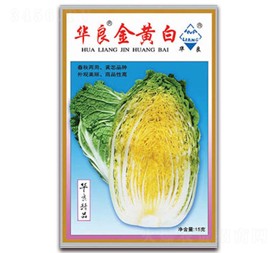 �A�Ľ��S��-��ײ˷N��-�A���N�I(y��)