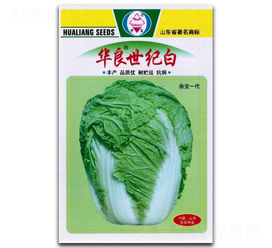 華良世紀(jì)白-大白菜種子-華良種業(yè)