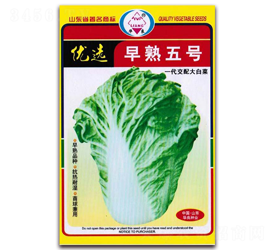 優(yōu)選早熟五號(hào)-大白菜種子-華良種業(yè)