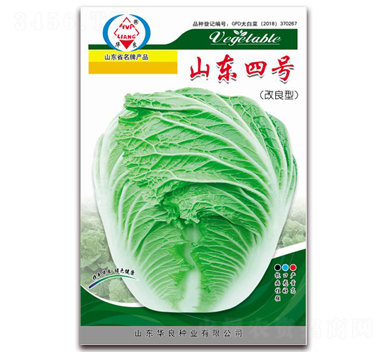 山東四號(hào)-大白菜種子-華良種業(yè)