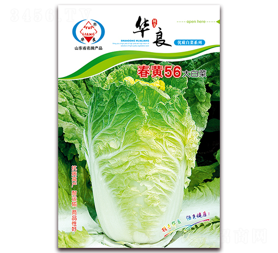 春黃56-大白菜種子-華良種業(yè)