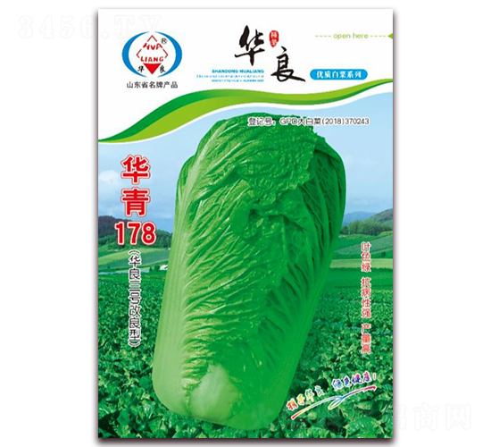 華青178-大白菜種子-華良種業(yè)