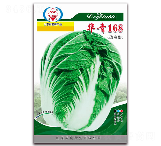 華青168-大白菜種子-華良種業(yè)