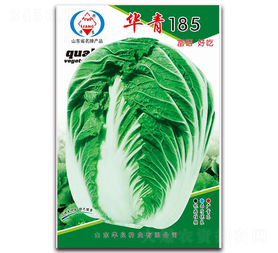 華青185-大白菜種子-華良種業(yè)