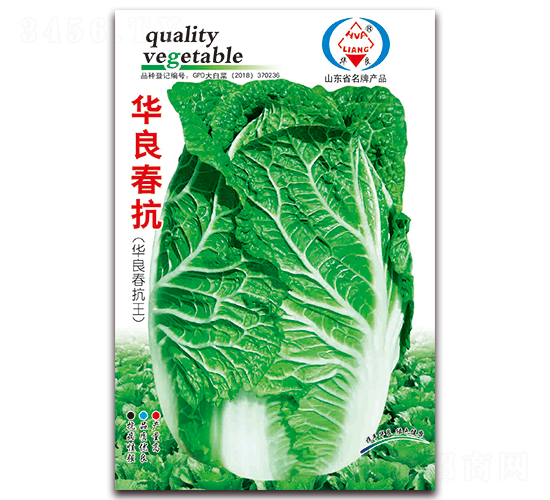 華良春抗-大白菜種子-華良種業(yè)
