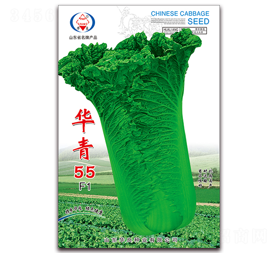 華青55-大白菜種子-華良種業(yè)