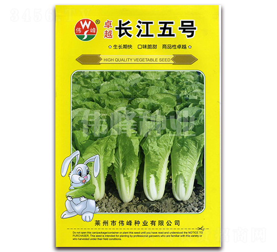 ׿Խ�L����̖(h��o)-�ײ˷N��-����N�I(y��)