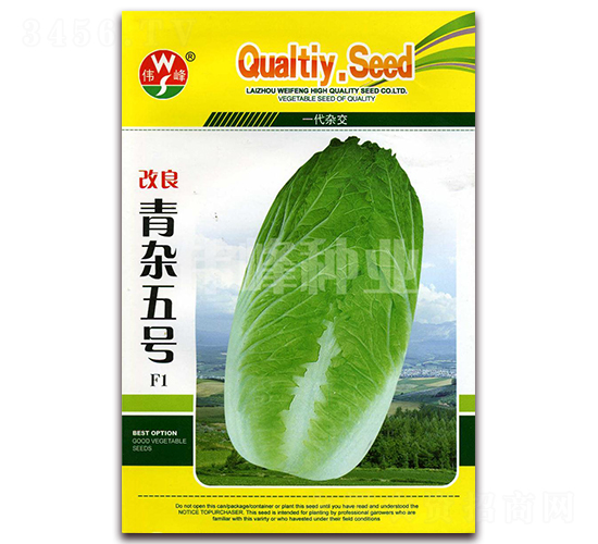 �������s��̖F1-�ײ˷N��-����N�I(y��)