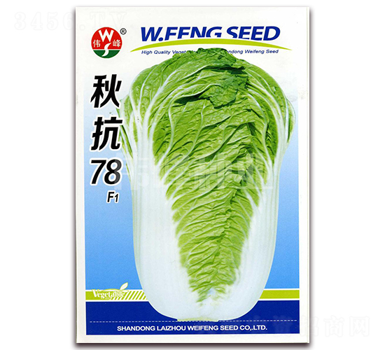 �￹78F1-�ײ˷N��-����N�I(y��)