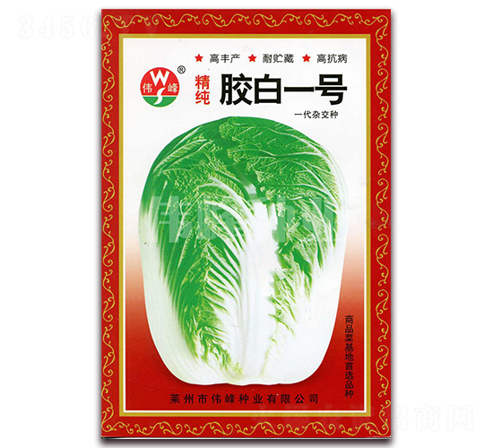 精純膠白一號-白菜種子-偉峰種業(yè)