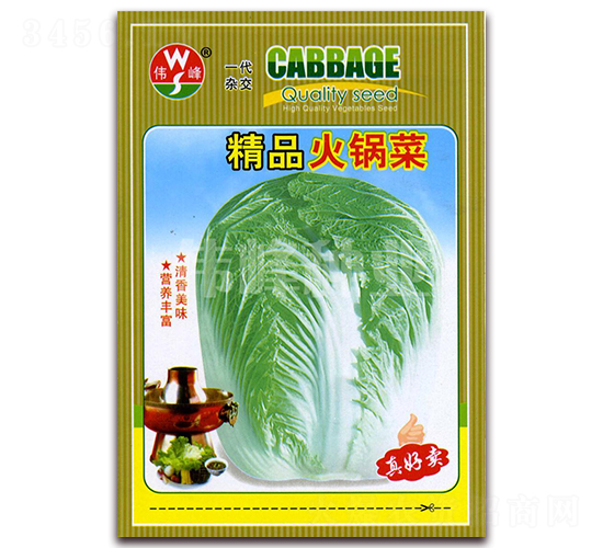 精品火鍋菜-白菜種子-偉峰種業(yè)