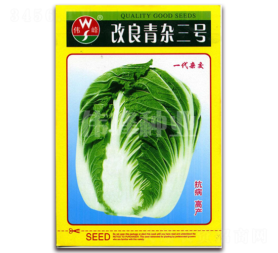 改良青雜三號-白菜種子-偉峰種業(yè)