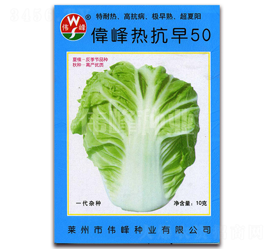 偉峰熱抗早50-白菜種子-偉峰種業(yè)