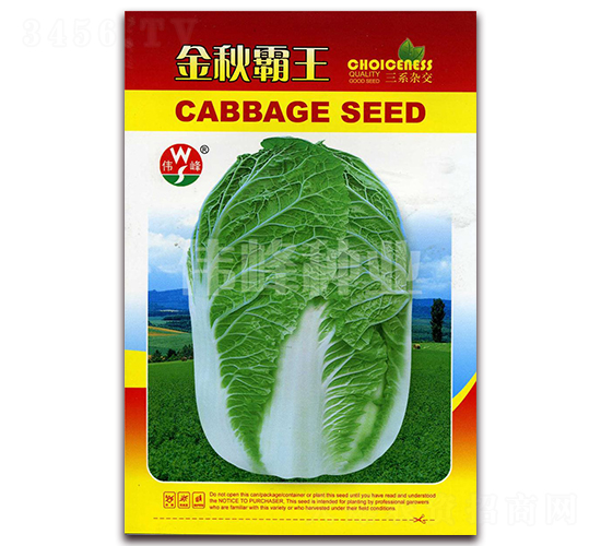 金秋霸王-白菜種子-偉峰種業(yè)