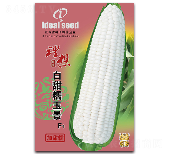 ����Ŵ��-Ŵ���׷N��-�����r(n��ng)�I(y��)