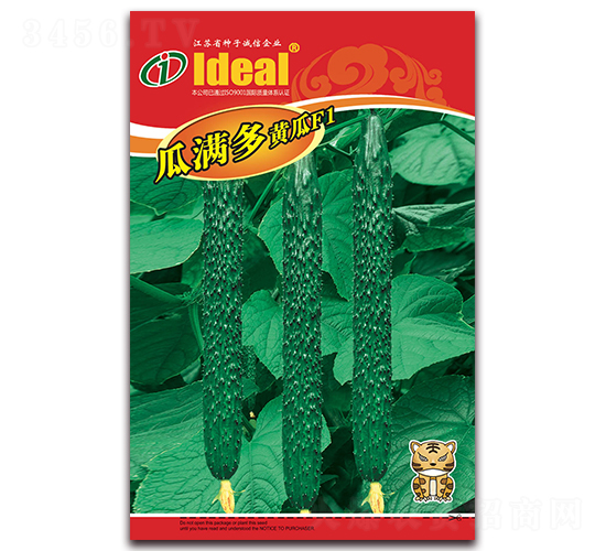 �ϝM��-�S�ϷN��-�����r�I(y��)