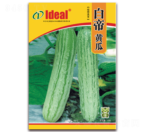 �׵��S��-�S�ϷN��-�����r(n��ng)�I(y��)