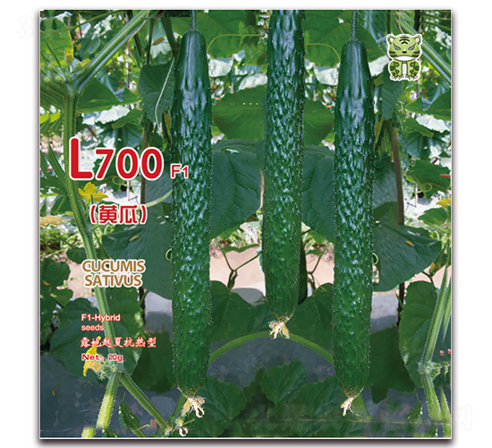 L700-�S�ϷN��-�����r(n��ng)�I(y��)