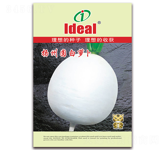 �P(y��ng)�݈A���}��-�}���N��-�����r(n��ng)�I(y��)