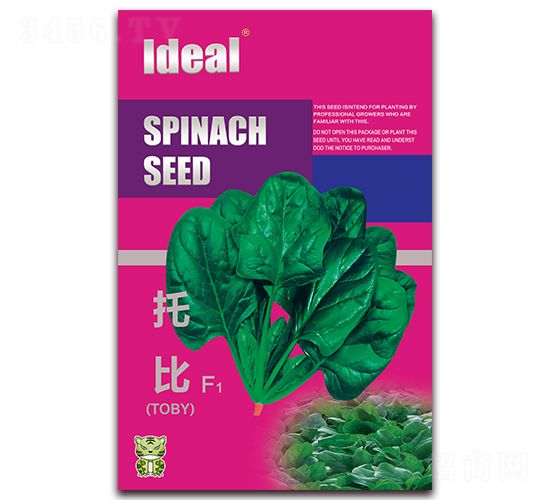 托比-菠菜種子-理想農(nóng)業(yè)