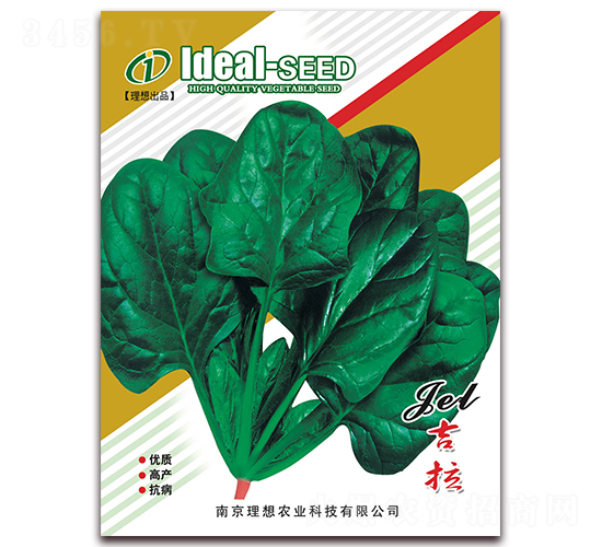 吉拉菠菜-菠菜種子-理想農(nóng)業(yè)