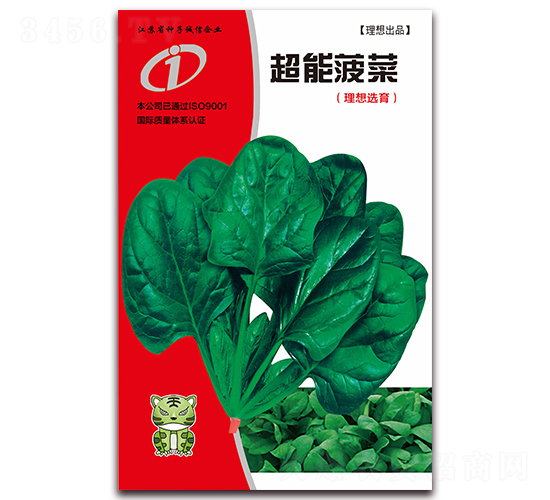 超能菠菜-菠菜種子-理想農(nóng)業(yè)