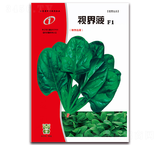 視界菠-菠菜種子-理想農(nóng)業(yè)