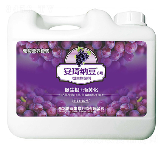 微生物菌劑-安琦納豆6號(hào)-商水納豆