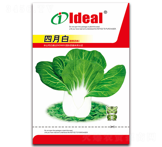 四月白-小白菜種子-理想農(nóng)業(yè)
