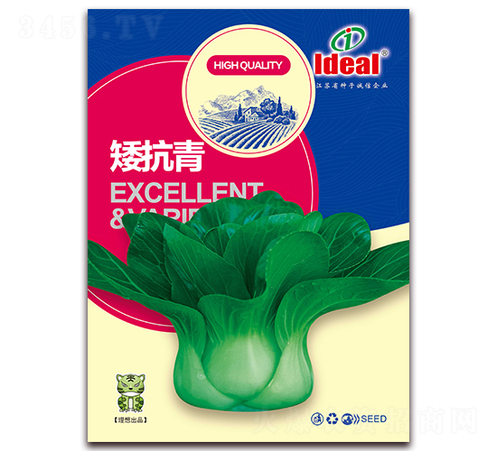 矮抗青-小白菜種子-理想農(nóng)業(yè)