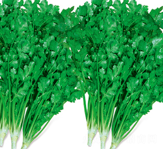 �ļ������-��˷N��-���߷N��