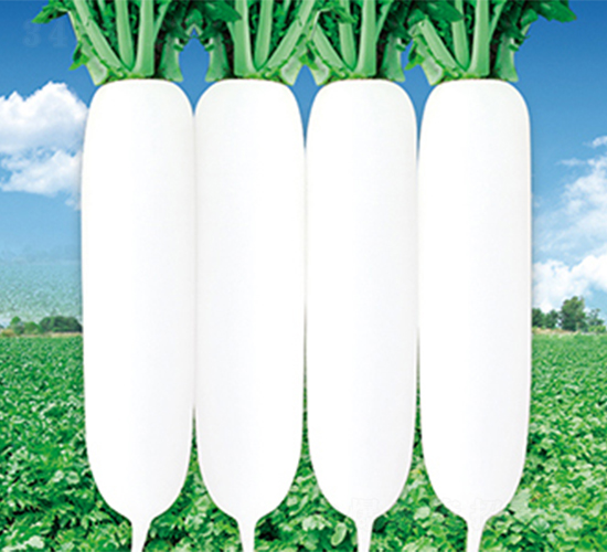 ���r����-�}���N��-���߷N��