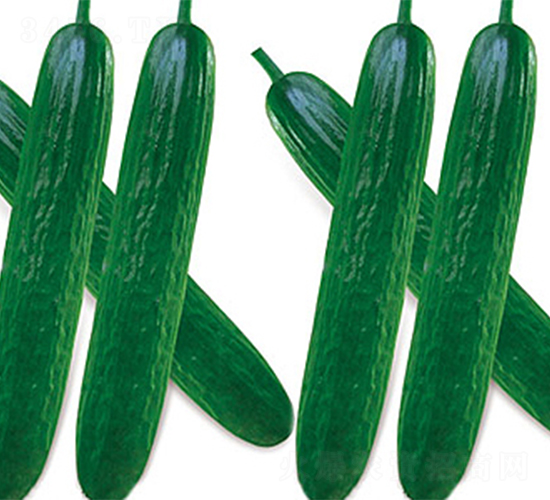 ��ˮ3̖-�S�ϷN��-���߷N��