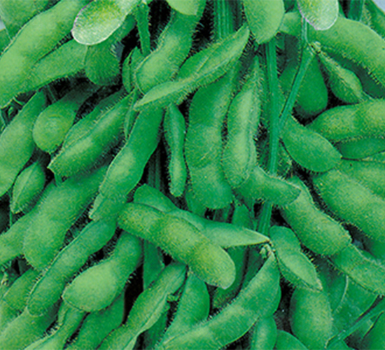 �K��1̖(h��o)-ë���N��-���߷N��