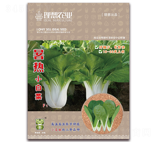 暑熱-青梗菜種子-理想農(nóng)業(yè)