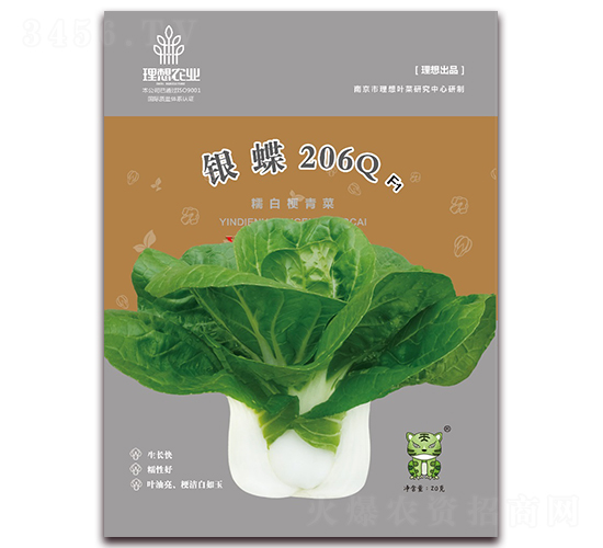 銀蝶206Q-青梗菜種子-理想農(nóng)業(yè)