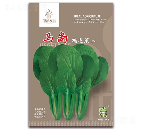 馬尚雞毛菜-青梗菜種子-理想農(nóng)業(yè)