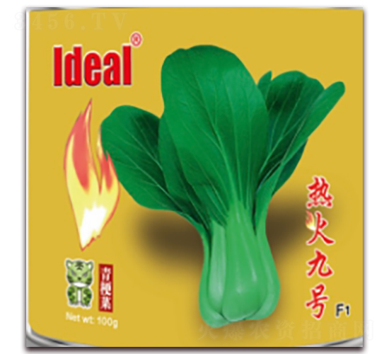 熱火九號-青梗菜種子-理想農業(yè)