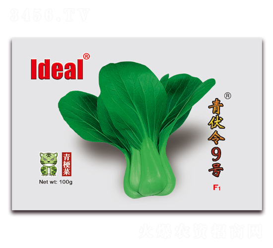青伏令9號(hào)-青梗菜種子-理想農(nóng)業(yè)
