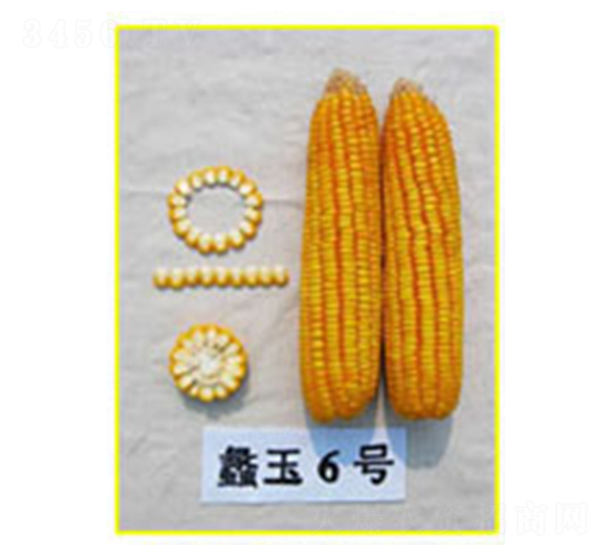 ���6̖-���׷N��-���