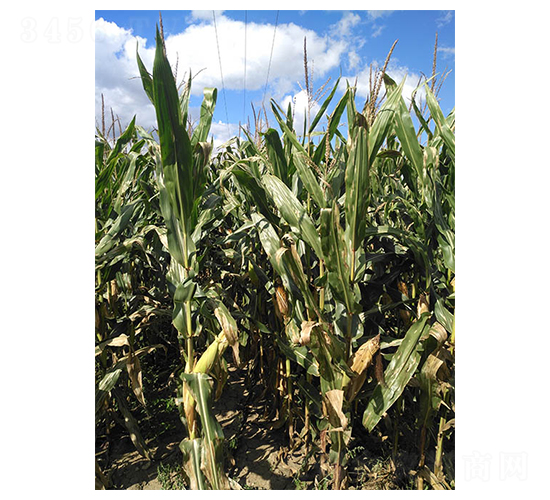 ���103-���׷N��-���