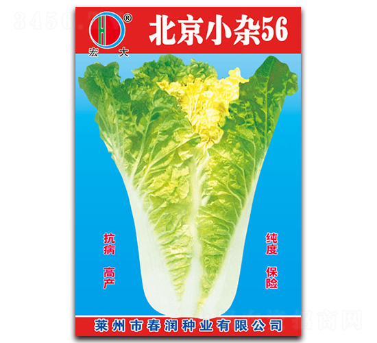 ����С�s56-�ײ˷N��-����(r��n)�N�I(y��)