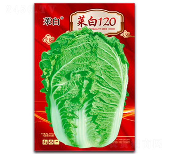 �˰�120-�ײ˷N��-����(r��n)�N�I(y��)