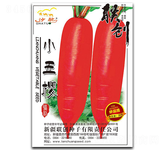 С���-�}���N��-(li��n)��(chu��ng)